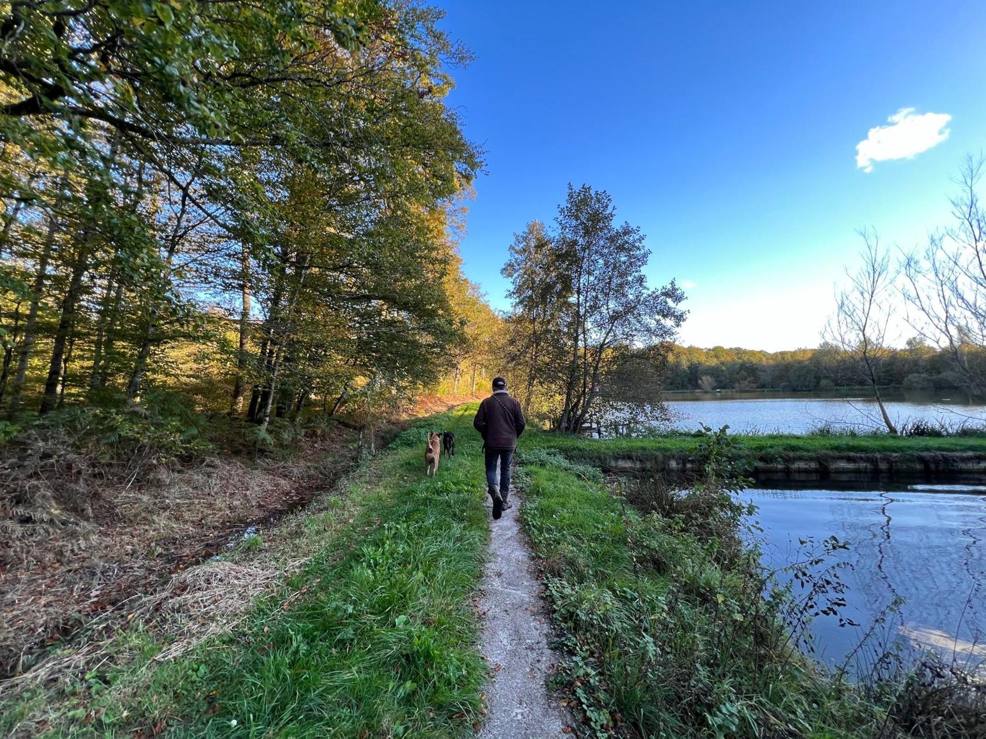 Aux Songes D'Elise Belmont (Haute-Saone) Exterior foto